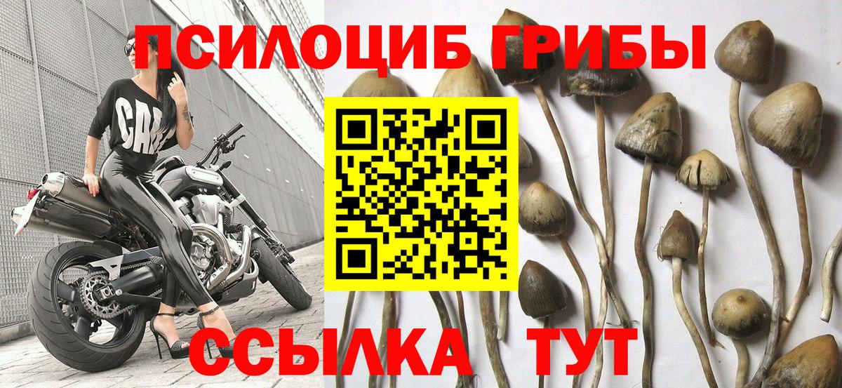 Армавир  купить наркотики сайты  Вход с VPN  Галлюциногенные грибы мицелий 
